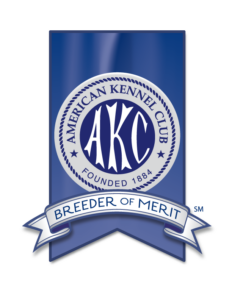 American Kennel Club Breeder of Merit
