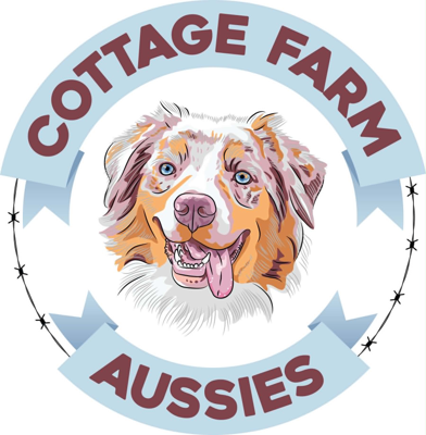 Cottage Farm Aussies logo